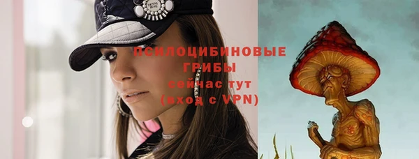 спиды Абинск