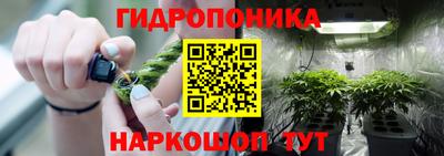PSILOCYBIN Ачхой-Мартан