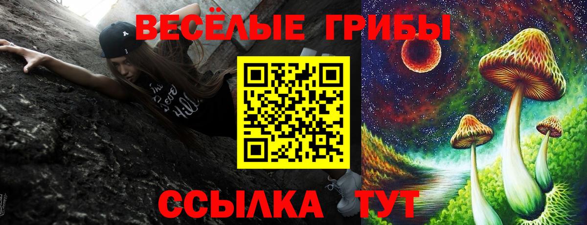 Галлюциногенные грибы Psilocybine cubensis Электросталь