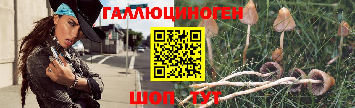 Электросталь  Псилоцибиновые грибы MAGIC MUSHROOMS  Вход с VPN 