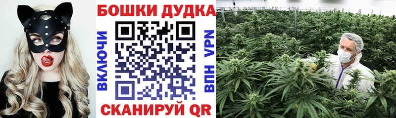 Конопля OG Kush  ссылка на мегу ССЫЛКА  Электросталь 